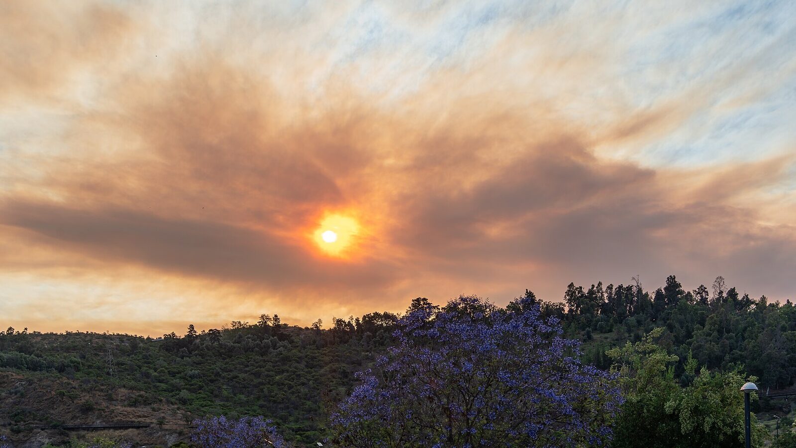 Sunset, Bicentennial Park