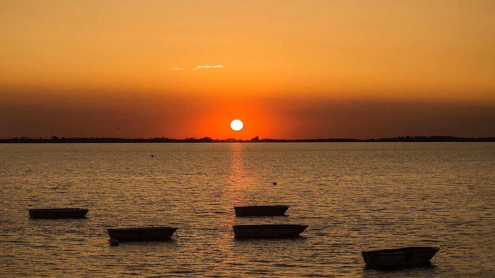 Sunset in Chascomus' Lagoon
