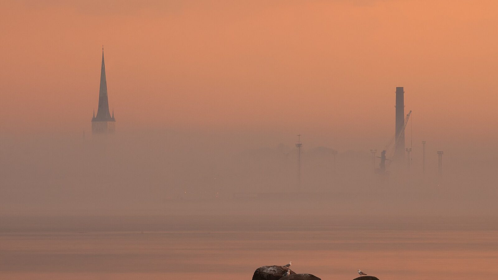 Foggy Tallinn at sunset