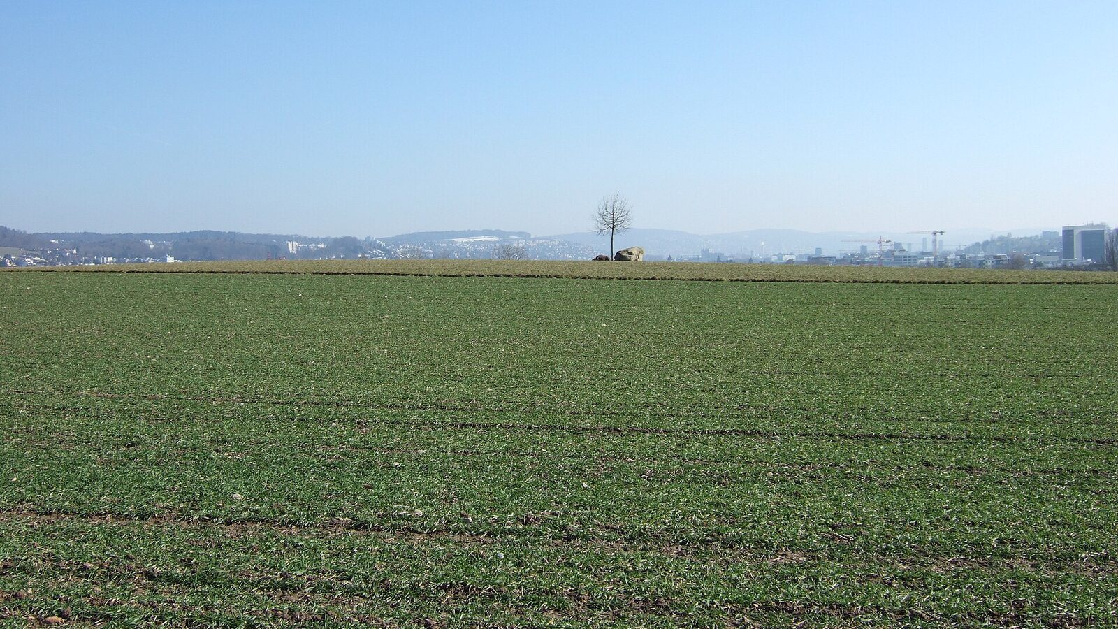 Green field by Kloster Fahr, Switzerland, with eastern Limmattal's skyline in the background